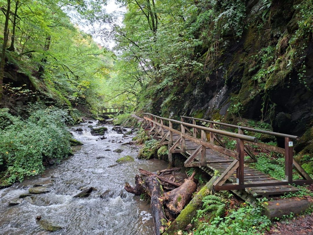 Wanderweg am Bach