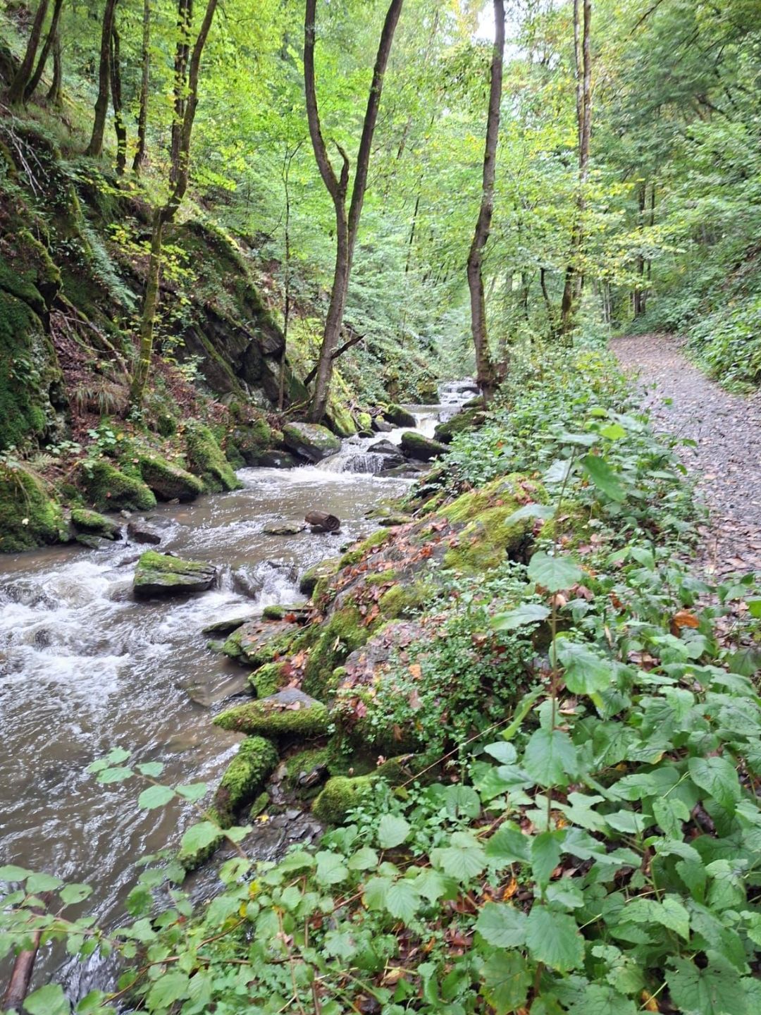 Wanderweg am Bach