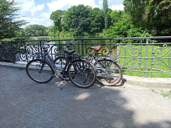 Fahrr&auml;der