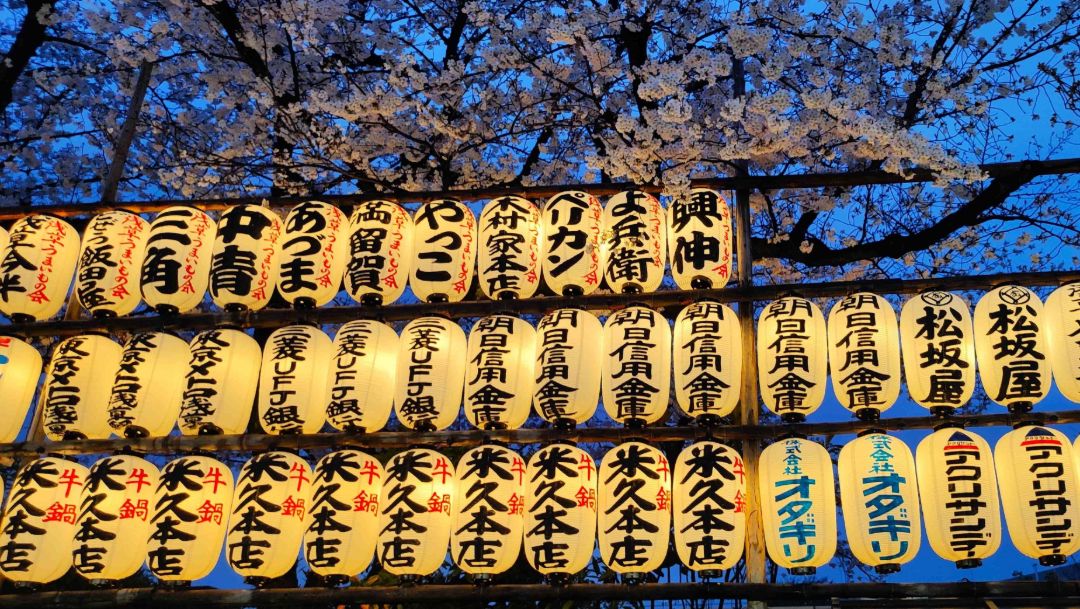 zahleiche japanische Papierlampions aufgereiht 