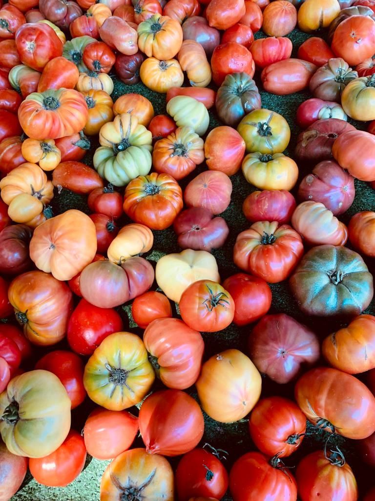Sammlung von reifen Tomaten in allen Farben