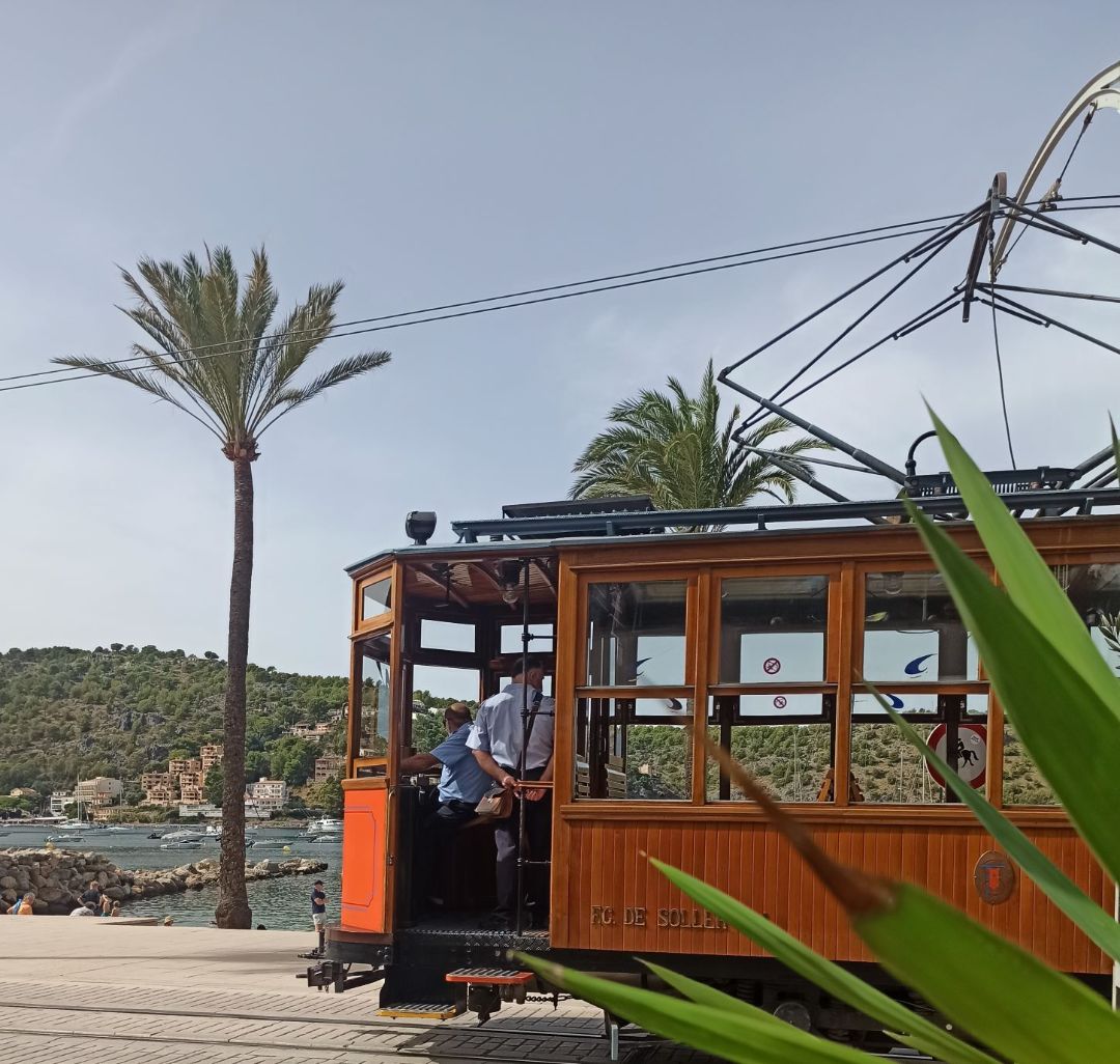 alte Stra&szlig;enbahn mit Palmen im Hintergrund, Urlaubsfoto