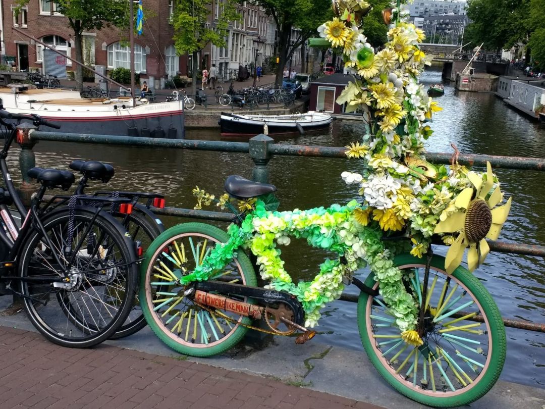 gr&uuml;nes Fahrrad mit sehr viel Sonnenblumendekoration