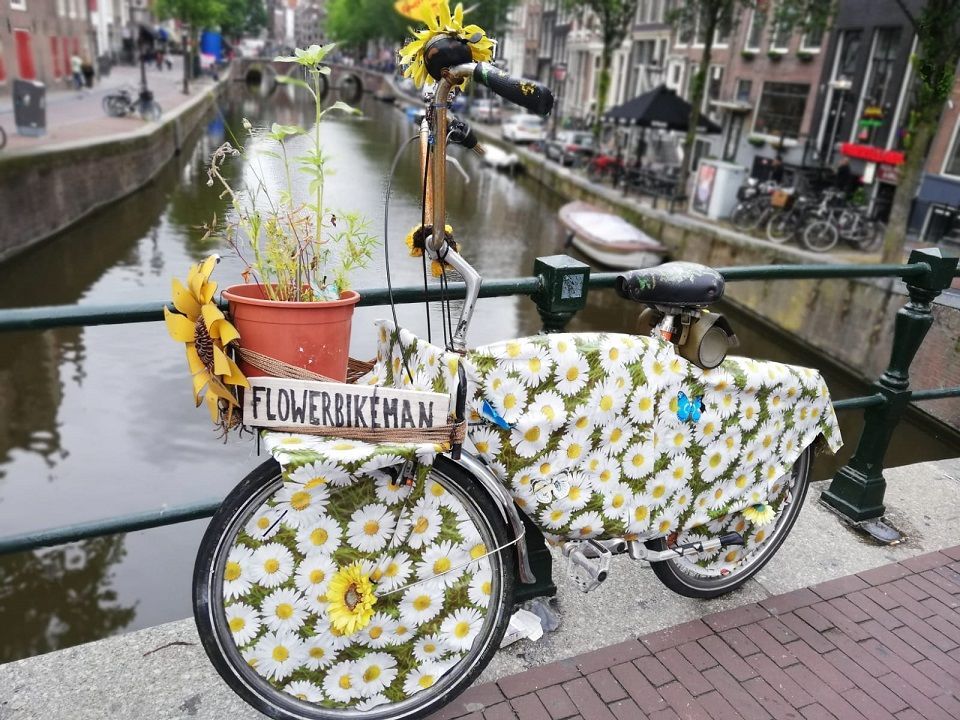 Hollandrad mir vielen Margeriten dekoriert