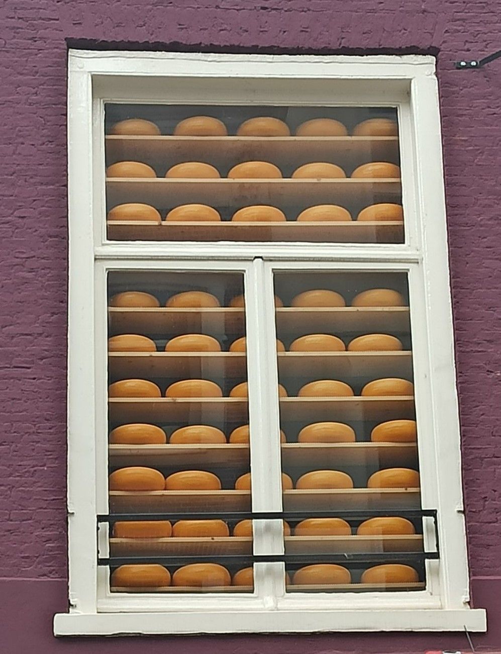Schaufenster mit K&auml;selaiben