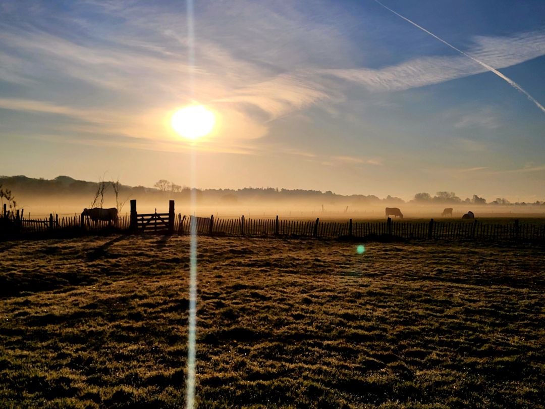 Sonnenaufgang, Koppel