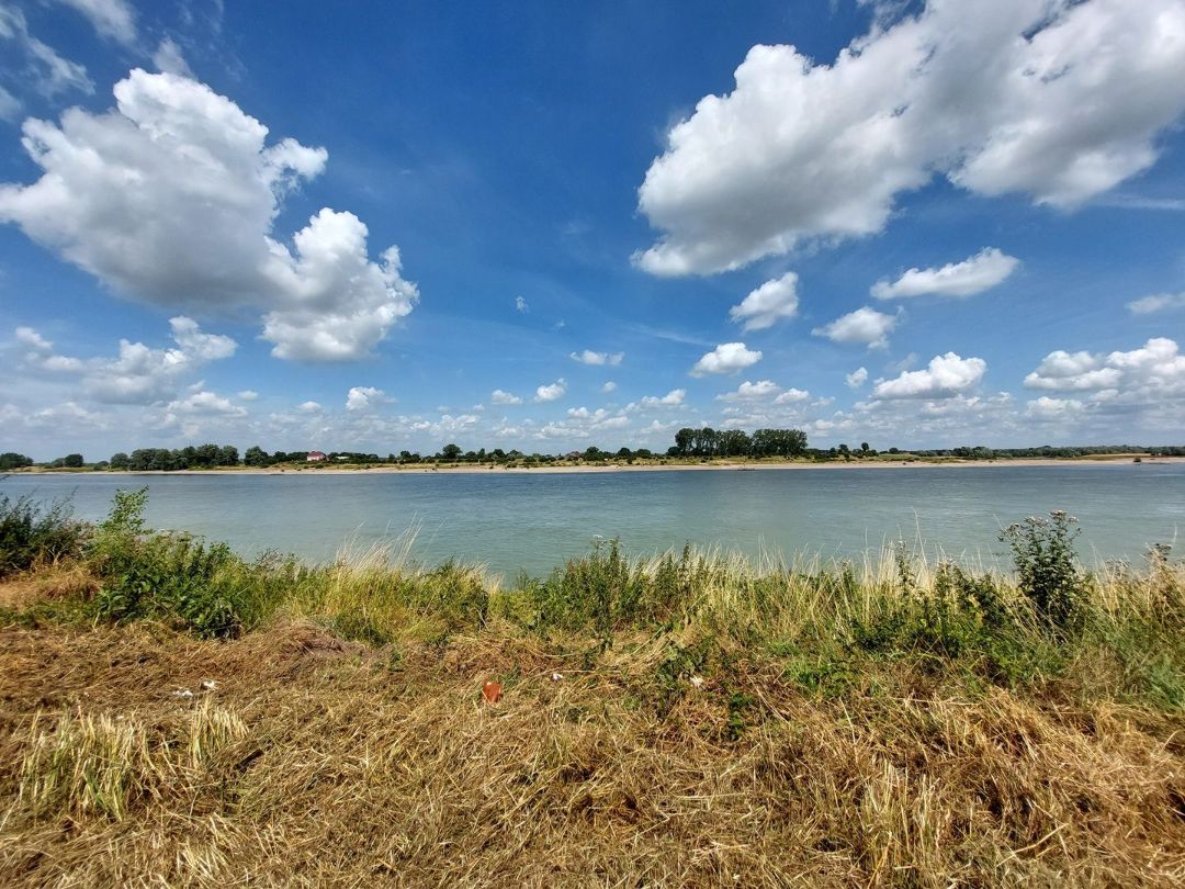 Rheinblick