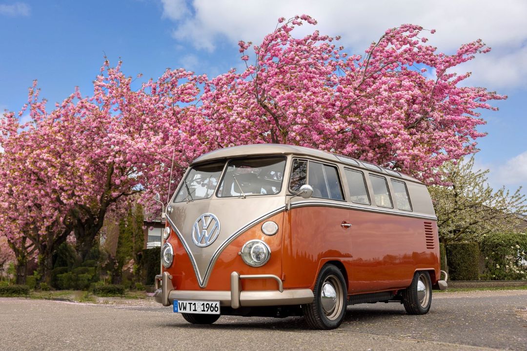 VW Bulli T1